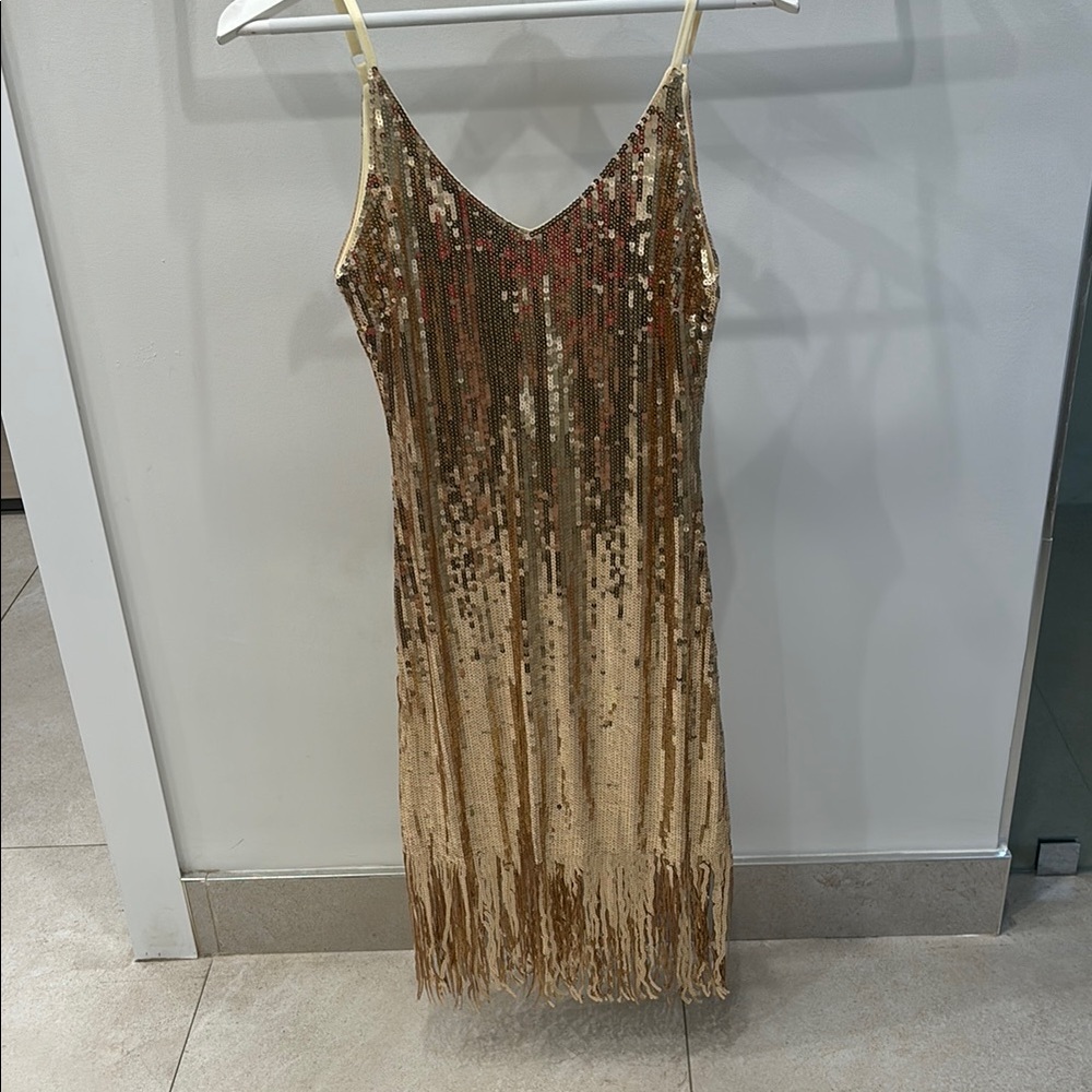 Gold Sequin Fringe Dress